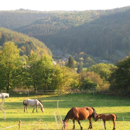Pretty Cottage Ardennes Near The Valley Of Lesse Vencimont Ngoại thất bức ảnh