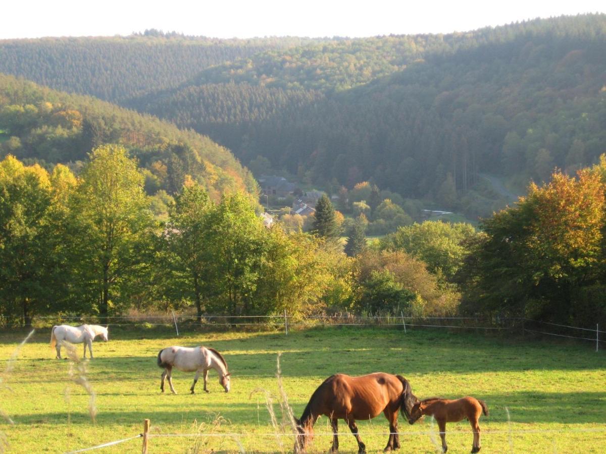 Pretty Cottage Ardennes Near The Valley Of Lesse Vencimont Ngoại thất bức ảnh