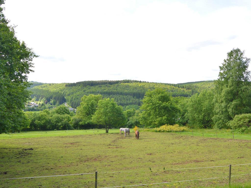 Pretty Cottage Ardennes Near The Valley Of Lesse Vencimont Ngoại thất bức ảnh